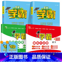 4本 [学霸作业本+提优大试卷]语文+数学(人教版) 四年级下 [正版]2024春新经纶小学学霸提优大试卷一年级下册二四