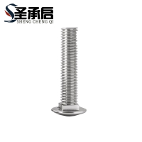 圣承启 不锈钢螺丝钉 M10*50 个(M10*50)
