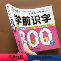 [正版]宝宝学前识字800个 3-4-5-6岁儿童读儿歌唐诗识字书学龄前儿童认字书带笔顺部首组词全脑记忆有图认字早教书