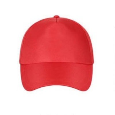 吾卫世 工作帽 均码 个