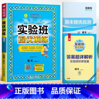 语文(人教版) 一年级下 [正版]2025新版实验班提优训练一年级二年级三年级四五六年级上下册语文数学英语全套人教版苏教