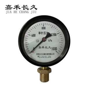 嘉禾长久+风表(压力表)+Y100 1.6级+块