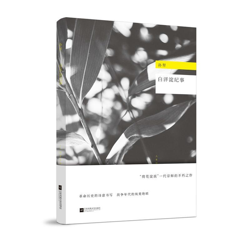 正版新书]白洋淀纪事孙犁 著 著9787539992112