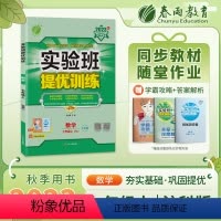 数学 七年级上 [正版]2023年秋实验班提优训练七年级上册数学沪科版中学教辅同步作业训练习册初一辅导资料含单元期中期末