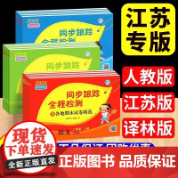 2025春亮点给力同步跟踪全程检测及各地期末试卷精选一二三四五六年级下册语文数学英语人教版苏教版译林版期中期末同步训练