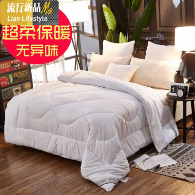 冬季加厚保暖冬被丝绵被单双人1.5m学生宿舍春秋被10斤太空被子芯 三维工匠