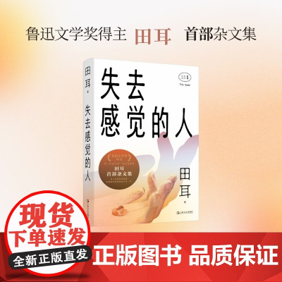 失去感觉的人 田耳 著 小说
