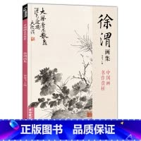 [正版]书籍徐渭画集