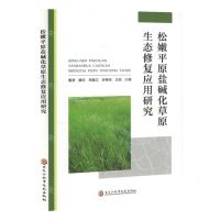 [N]松嫩平原盐碱化草原生态修复应用研究-9787571921682