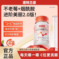 诺特兰德 30粒*2瓶 不老莓烟酰胺咀嚼片维C维E烟酰胺维生素B1B2皮肤好营养正品