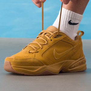 耐克(NIKE)男鞋新款AIR MONARCH SE耐磨缓震透气健身训练鞋跑步鞋IB2281-700 ZP