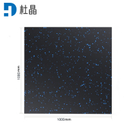 杜晶健身房橡胶地垫防滑减震隔音防砸缓冲地板健身板材100x100x2CM DJ-DD263
