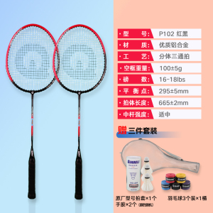 强力(QIANGLI) 羽毛球拍入门初学超轻稳定耐用攻守兼备