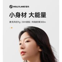 苏宁宜品无线耳挂麦克风 Type-C 外接供电 U盘读取 会议主持神器