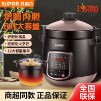 苏泊尔(SUPOR)电炖锅电炖盅煲汤锅炖汤锅煮粥锅十二大特色功能炽陶老火汤电炖锅DG60YC13