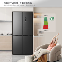 康佳冰箱AR-555WPEG4 一级能效 505升家用电冰箱