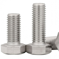 幸庭 不锈钢外六角螺栓 M12*50 个