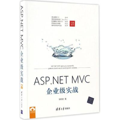 ASP.NET MVC企业级实战