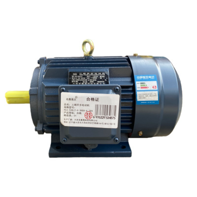 宏鑫晟志 三相异步电动机 YE3-100L2-4-380V-6.28A 单位:台