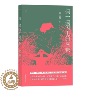 [醉染正版]正版 摸一摸闪电的滋味赵兰振书店小说书籍 畅想书