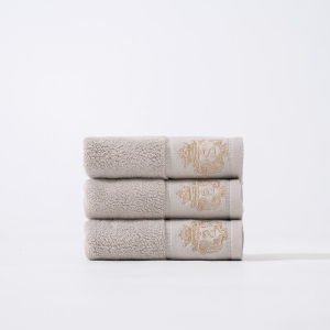 天山柔 34*72cm 120g 酒店风全棉缎档 毛巾 (计价单位:条)