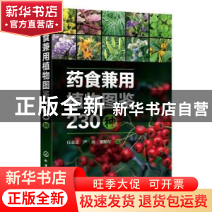 正版 药食兼用植物图鉴230种 任全进,严辉,廖盼华 化学工业出版社