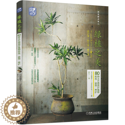 [醉染正版]绿植之美 80种文艺感观叶植物挑选 装饰 养护 机械社 日本花植旅人 养花那点事儿 人气绿植挑选技巧养护方法