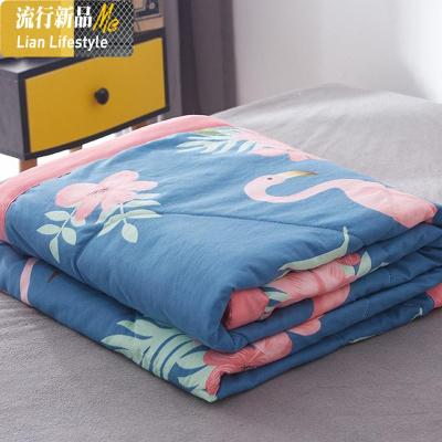 棉秋天被子薄被双人春秋凉款单人盖被芯春秋季空调冷气棉ins 三维工匠