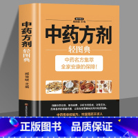 [正版]中药方剂 中医入门书籍 病诊治技术 病辨治体系 方药应用 流行感冒肺结核感染性疾病临床效方大全中医基础理论中药