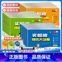 [2本]语文+数学 苏教版 二年级上 [正版]2024春实验班提优大考卷一二三四五六年级上册下册语文数学英语人教北师大苏