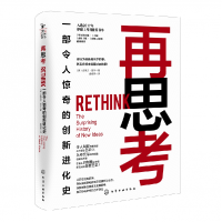 音像再思考:一部令人惊奇的创新进化史(英)史蒂文·普尔