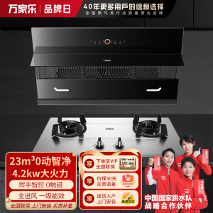 万家乐 烟机灶具两件套 AL5+KA031 22立方侧吸 自动清洁抽油烟机4.2kw燃气灶 烟机灶具家用套餐