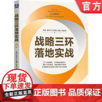正版 战略三环落地实战 王钺 袁中华 方向晖 吴凯 钟金来 组织与人才 执行的关键 宣导 执行 复盘 信任 授权 人