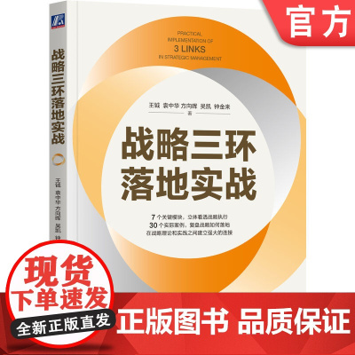 正版 战略三环落地实战 王钺 袁中华 方向晖 吴凯 钟金来 组织与人才 执行的关键 宣导 执行 复盘 信任 授权 人