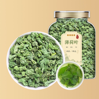 沈之问薄荷叶泡水新鲜薄荷茶干薄荷叶清凉花茶可搭冬季决明子罐装