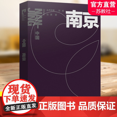 国际和平城市丛书 中国 南京 中文版 南京师范大学出版社
