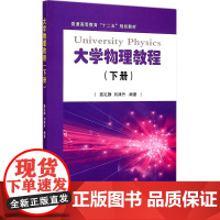 大学物理教程(下册)