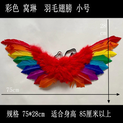 家柏饰(CORATED)翅膀羽毛翅膀天使翅膀colay翅膀道具舞会走秀表演翅膀演出用品 窝翎款小号75*28cm