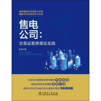 音像售电公司:交易运营原理与实践叶青