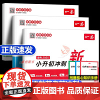 2025新一本[冲刺小升初]新卷语文数学英语专项训练 六年级小升初总复习人教版真题卷2024必刷题测试卷强化系统总复习知