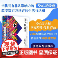 当下的力量正版白金版 简单生活人生埃克哈特·托利著张德芬活在当下自我实现励志读物 心灵大师经典之作心灵励志成功青年职场书