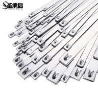 圣承启 扎带 4.6*100MM根