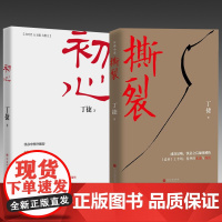 正版书籍 两本套装 初心+撕裂 现实主义 反腐败 不忘初心牢记使命专题教育图书 丁捷著 反腐倡廉