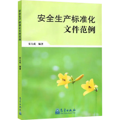 正版新书]安全生产标准化文件范例宋大成 编9787502954284