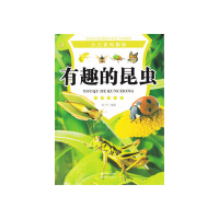 正版新书]少儿百科探秘--有趣的昆虫(四色印刷)10 张哲978751431