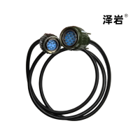 泽岩速监线(3米)CD-H22单根