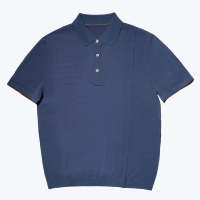 尘界男装爸爸夏季半袖翻领t恤男短袖中年人商务休闲polo衫