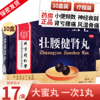 同仁堂 壮腰健肾丸 10丸 大蜜丸壮腰健肾祛风湿骨痛养血肾亏虚腰痛小便频数膝软无力壮腰建肾中成药丸剂:10盒 疗程装