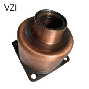 vzi 前体 BG16 个