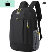 轻便背包男童旅游双肩包小学生休闲旅行包女男孩子潮儿童补课书包NEW LAKE 黑色20L多层